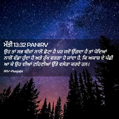 Picture 02 - ਮੱਤੀ 13:32 PANIRV - ਉਹ ਤਾਂ ਸਭ ਬੀਜਾਂ - Bible Verse Picture