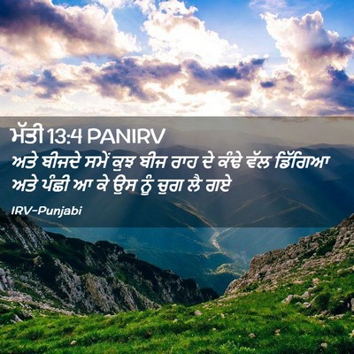 Picture 02 - ਮੱਤੀ 13:4 PANIRV - ਅਤੇ ਬੀਜਦੇ ਸਮੇਂ ਕੁਝ - Bible Verse Picture