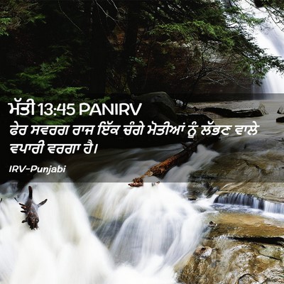 Picture 02 - ਮੱਤੀ 13:45 PANIRV - ਫੇਰ ਸਵਰਗ ਰਾਜ ਇੱਕ - Bible Verse Picture