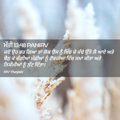 Picture 02 - ਮੱਤੀ 13:48 PANIRV - ਜਦੋਂ ਉਹ ਭਰ ਗਿਆ ਤਾਂ - Bible Verse Picture