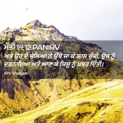 Picture 02 - ਮੱਤੀ 14:12 PANIRV - ਅਤੇ ਉਹ ਦੇ ਚੇਲਿਆਂ ਨੇ - Bible Verse Picture