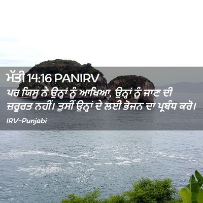 Picture 02 - ਮੱਤੀ 14:16 PANIRV - ਪਰ ਯਿਸੂ ਨੇ ਉਨ੍ਹਾਂ - Bible Verse Picture
