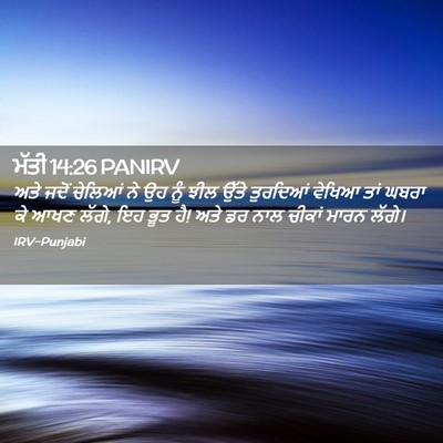 Picture 02 - ਮੱਤੀ 14:26 PANIRV - ਅਤੇ ਜਦੋਂ ਚੇਲਿਆਂ ਨੇ - Bible Verse Picture