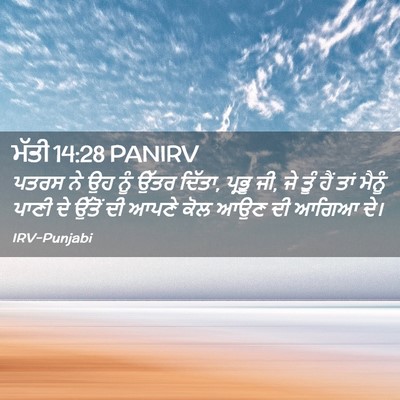Picture 02 - ਮੱਤੀ 14:28 PANIRV - ਪਤਰਸ ਨੇ ਉਹ ਨੂੰ ਉੱਤਰ - Bible Verse Picture