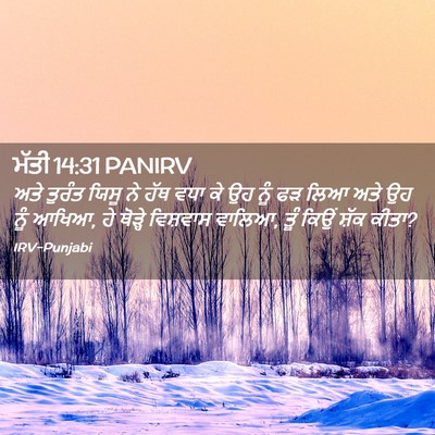 Picture 02 - ਮੱਤੀ 14:31 PANIRV - ਅਤੇ ਤੁਰੰਤ ਯਿਸੂ ਨੇ - Bible Verse Picture