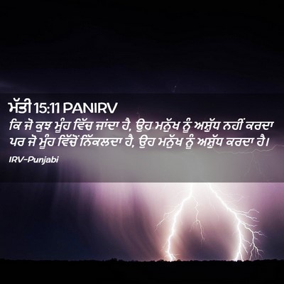 Picture 02 - ਮੱਤੀ 15:11 PANIRV - ਕਿ ਜੋ ਕੁਝ ਮੂੰਹ ਵਿੱਚ - Bible Verse Picture