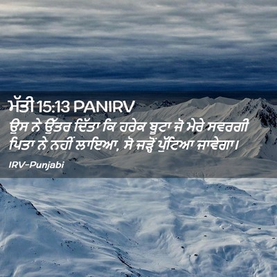 Picture 02 - ਮੱਤੀ 15:13 PANIRV - ਉਸ ਨੇ ਉੱਤਰ ਦਿੱਤਾ ਕਿ - Bible Verse Picture