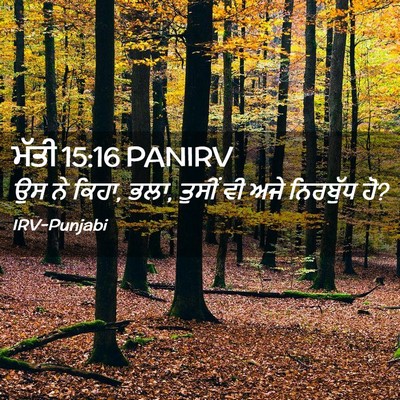 Picture 02 - ਮੱਤੀ 15:16 PANIRV - ਉਸ ਨੇ ਕਿਹਾ, ਭਲਾ, - Bible Verse Picture