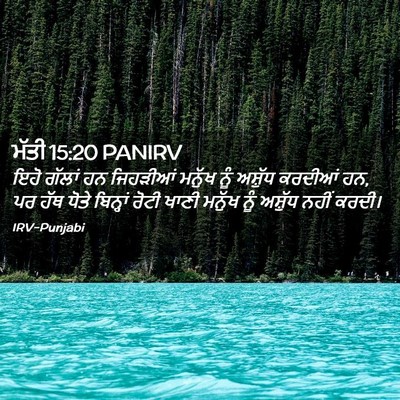 Picture 02 - ਮੱਤੀ 15:20 PANIRV - ਇਹੋ ਗੱਲਾਂ ਹਨ - Bible Verse Picture