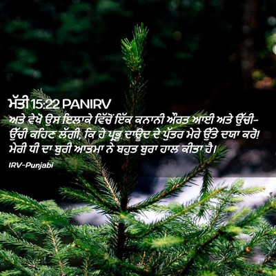 Picture 02 - ਮੱਤੀ 15:22 PANIRV - ਅਤੇ ਵੇਖੋ ਉਸ ਇਲਾਕੇ - Bible Verse Picture