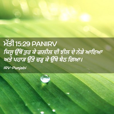 Picture 02 - ਮੱਤੀ 15:29 PANIRV - ਯਿਸੂ ਉੱਥੋਂ ਤੁਰ ਕੇ - Bible Verse Picture