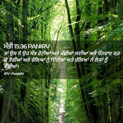 Picture 02 - ਮੱਤੀ 15:36 PANIRV - ਤਾਂ ਉਸ ਨੇ ਉਹ ਸੱਤ - Bible Verse Picture