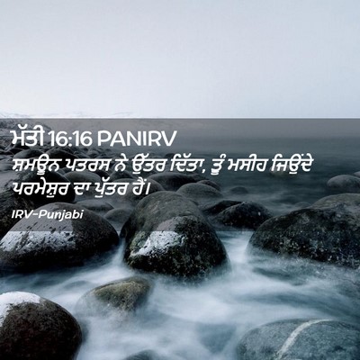 Picture 02 - ਮੱਤੀ 16:16 PANIRV - ਸ਼ਮਊਨ ਪਤਰਸ ਨੇ ਉੱਤਰ - Bible Verse Picture