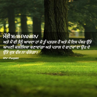 Picture 02 - ਮੱਤੀ 16:18 PANIRV - ਅਤੇ ਮੈਂ ਵੀ ਤੈਨੂੰ - Bible Verse Picture