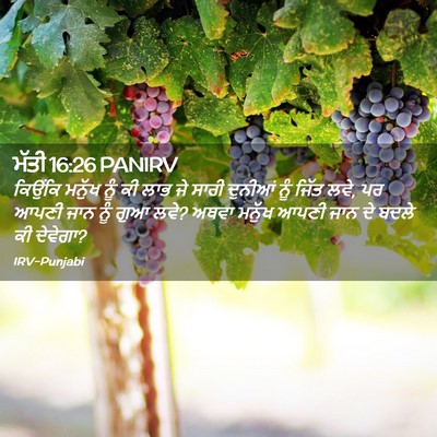Picture 02 - ਮੱਤੀ 16:26 PANIRV - ਕਿਉਂਕਿ ਮਨੁੱਖ ਨੂੰ - Bible Verse Picture