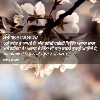 Picture 02 - ਮੱਤੀ 16:3 PANIRV - ਅਤੇ ਸਵੇਰ ਨੂੰ ਆਖਦੇ - Bible Verse Picture