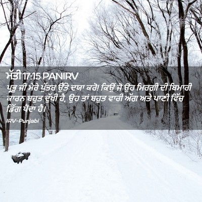Picture 02 - ਮੱਤੀ 17:15 PANIRV - ਪ੍ਰਭੂ ਜੀ ਮੇਰੇ - Bible Verse Picture