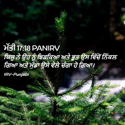 Picture 02 - ਮੱਤੀ 17:18 PANIRV - ਯਿਸੂ ਨੇ ਉਹ ਨੂੰ - Bible Verse Picture