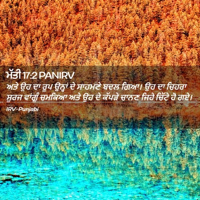 Picture 02 - ਮੱਤੀ 17:2 PANIRV - ਅਤੇ ਉਹ ਦਾ ਰੂਪ - Bible Verse Picture
