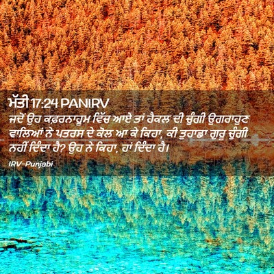 Picture 02 - ਮੱਤੀ 17:24 PANIRV - ਜਦੋਂ ਉਹ ਕਫ਼ਰਨਾਹੂਮ - Bible Verse Picture