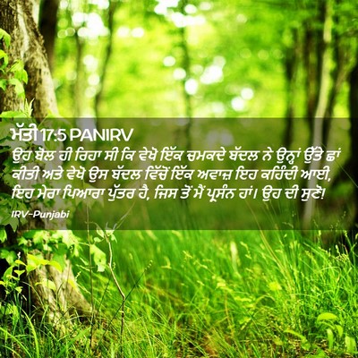 Picture 02 - ਮੱਤੀ 17:5 PANIRV - ਉਹ ਬੋਲ ਹੀ ਰਿਹਾ ਸੀ - Bible Verse Picture