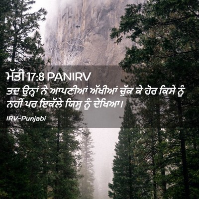 Picture 02 - ਮੱਤੀ 17:8 PANIRV - ਤਦ ਉਨ੍ਹਾਂ ਨੇ - Bible Verse Picture