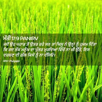 Picture 02 - ਮੱਤੀ 17:9 PANIRV - ਜਦੋਂ ਉਹ ਪਹਾੜ ਤੋਂ - Bible Verse Picture