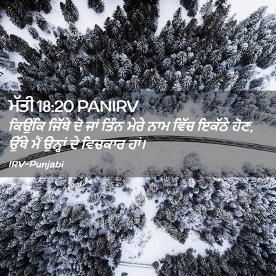 Picture 02 - ਮੱਤੀ 18:20 PANIRV - ਕਿਉਂਕਿ ਜਿੱਥੇ ਦੋ - Bible Verse Picture