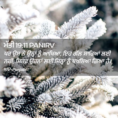 Picture 02 - ਮੱਤੀ 19:11 PANIRV - ਪਰ ਉਸ ਨੇ ਉਨ੍ਹਾਂ ਨੂੰ - Bible Verse Picture