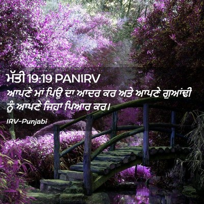 Picture 02 - ਮੱਤੀ 19:19 PANIRV - ਆਪਣੇ ਮਾਂ ਪਿਉ ਦਾ ਆਦਰ - Bible Verse Picture