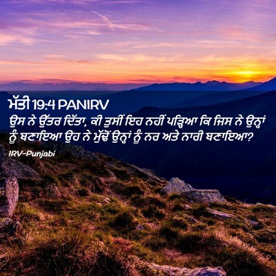Picture 02 - ਮੱਤੀ 19:4 PANIRV - ਉਸ ਨੇ ਉੱਤਰ ਦਿੱਤਾ, - Bible Verse Picture