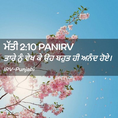 Picture 02 - ਮੱਤੀ 2:10 PANIRV - ਤਾਰੇ ਨੂੰ ਵੇਖ ਕੇ ਉਹ - Bible Verse Picture