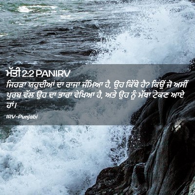 Picture 02 - ਮੱਤੀ 2:2 PANIRV - ਜਿਹੜਾ ਯਹੂਦੀਆਂ ਦਾ - Bible Verse Picture