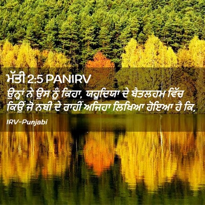 Picture 02 - ਮੱਤੀ 2:5 PANIRV - ਉਨ੍ਹਾਂ ਨੇ ਉਸ ਨੂੰ - Bible Verse Picture