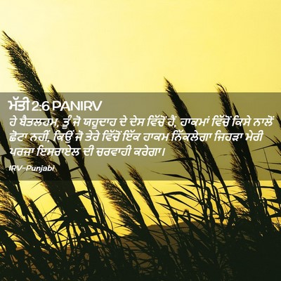 Picture 02 - ਮੱਤੀ 2:6 PANIRV - ਹੇ ਬੈਤਲਹਮ, ਤੂੰ ਜੋ - Bible Verse Picture