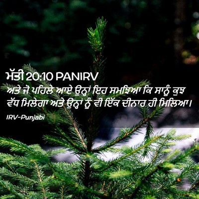 Picture 02 - ਮੱਤੀ 20:10 PANIRV - ਅਤੇ ਜੋ ਪਹਿਲੇ ਆਏ - Bible Verse Picture