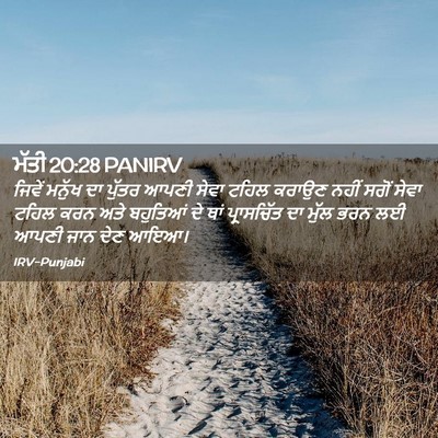 Picture 02 - ਮੱਤੀ 20:28 PANIRV - ਜਿਵੇਂ ਮਨੁੱਖ ਦਾ - Bible Verse Picture