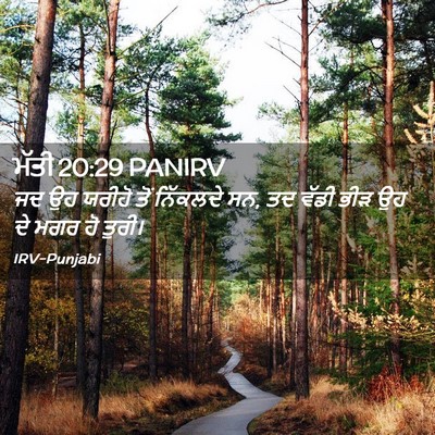 Picture 02 - ਮੱਤੀ 20:29 PANIRV - ਜਦ ਉਹ ਯਰੀਹੋ ਤੋਂ - Bible Verse Picture