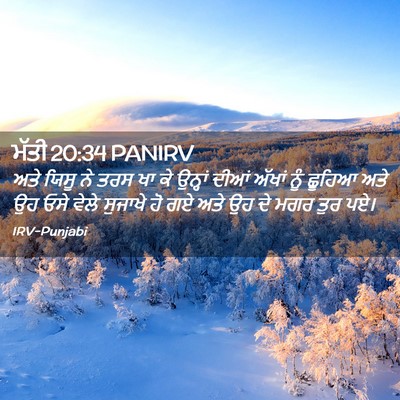 Picture 02 - ਮੱਤੀ 20:34 PANIRV - ਅਤੇ ਯਿਸੂ ਨੇ ਤਰਸ ਖਾ - Bible Verse Picture
