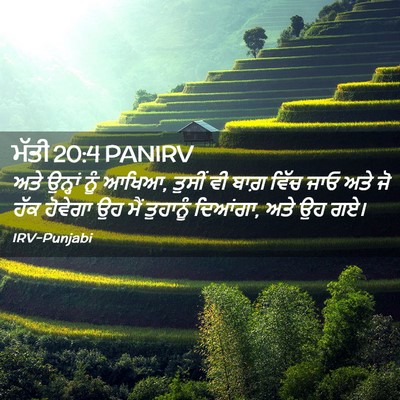 Picture 02 - ਮੱਤੀ 20:4 PANIRV - ਅਤੇ ਉਨ੍ਹਾਂ ਨੂੰ - Bible Verse Picture