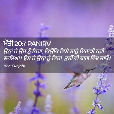 Picture 02 - ਮੱਤੀ 20:7 PANIRV - ਉਨ੍ਹਾਂ ਨੇ ਉਸ ਨੂੰ - Bible Verse Picture