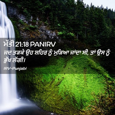 Picture 02 - ਮੱਤੀ 21:18 PANIRV - ਜਦ ਤੜਕੇ ਉਹ ਸ਼ਹਿਰ - Bible Verse Picture