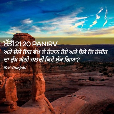 Picture 02 - ਮੱਤੀ 21:20 PANIRV - ਅਤੇ ਚੇਲੇ ਇਹ ਵੇਖ ਕੇ - Bible Verse Picture