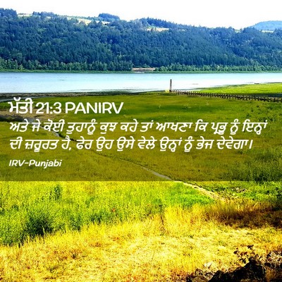 Picture 02 - ਮੱਤੀ 21:3 PANIRV - ਅਤੇ ਜੇ ਕੋਈ ਤੁਹਾਨੂੰ - Bible Verse Picture