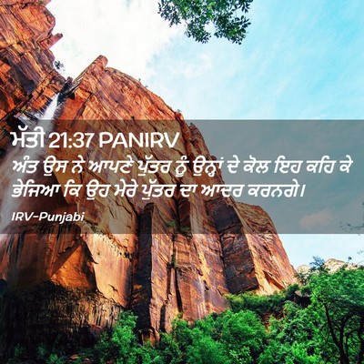Picture 02 - ਮੱਤੀ 21:37 PANIRV - ਅੰਤ ਉਸ ਨੇ ਆਪਣੇ - Bible Verse Picture