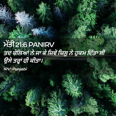 Picture 02 - ਮੱਤੀ 21:6 PANIRV - ਤਦ ਚੇਲਿਆਂ ਨੇ ਜਾ ਕੇ - Bible Verse Picture
