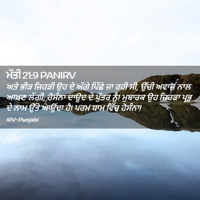 Picture 02 - ਮੱਤੀ 21:9 PANIRV - ਅਤੇ ਭੀੜ ਜਿਹੜੀ ਉਹ ਦੇ - Bible Verse Picture
