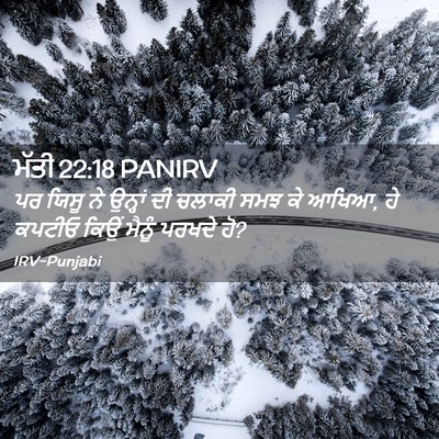 Picture 02 - ਮੱਤੀ 22:18 PANIRV - ਪਰ ਯਿਸੂ ਨੇ ਉਨ੍ਹਾਂ - Bible Verse Picture