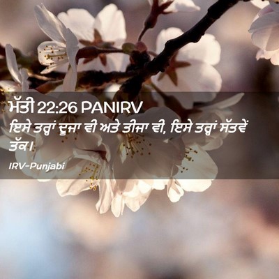 Picture 02 - ਮੱਤੀ 22:26 PANIRV - ਇਸੇ ਤਰ੍ਹਾਂ ਦੂਜਾ ਵੀ - Bible Verse Picture