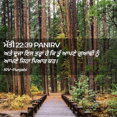 Picture 02 - ਮੱਤੀ 22:39 PANIRV - ਅਤੇ ਦੂਜਾ ਇਸ ਤਰ੍ਹਾਂ - Bible Verse Picture